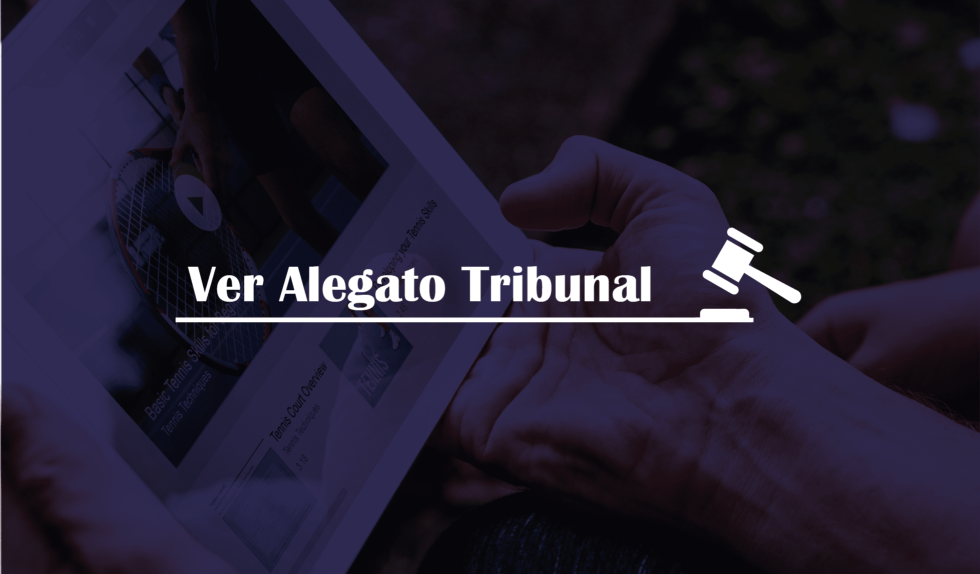 alegrato tribunal-03